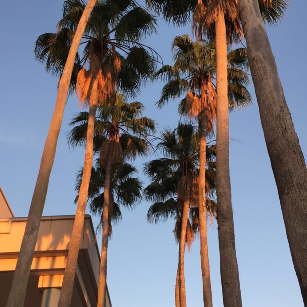 Meet your Posher, Avah